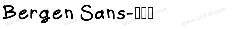 Bergen Sans字体转换